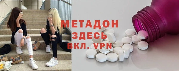 прущие грибы Верея