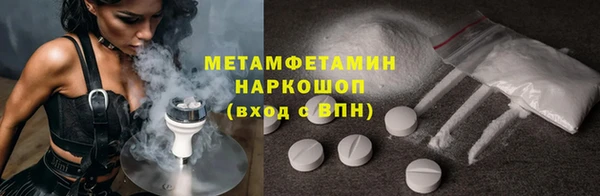 прущие грибы Верея