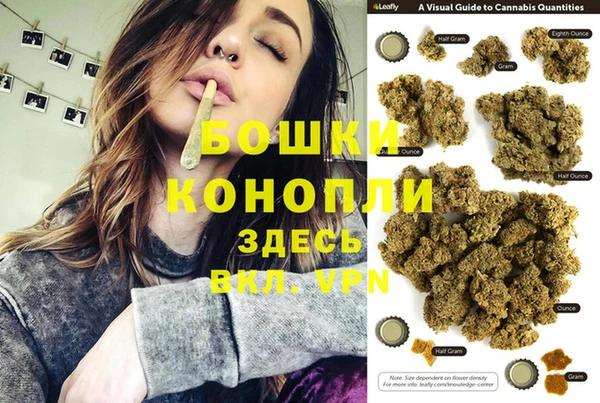 прущие грибы Верея
