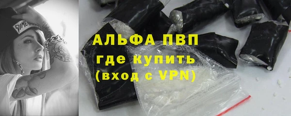 прущие грибы Верея