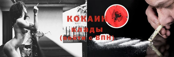 прущие грибы Верея