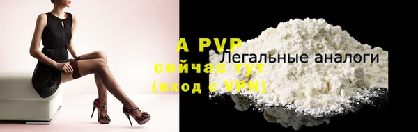 прущие грибы Верея