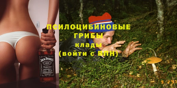прущие грибы Верея