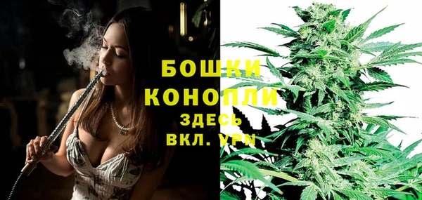 прущие грибы Верея