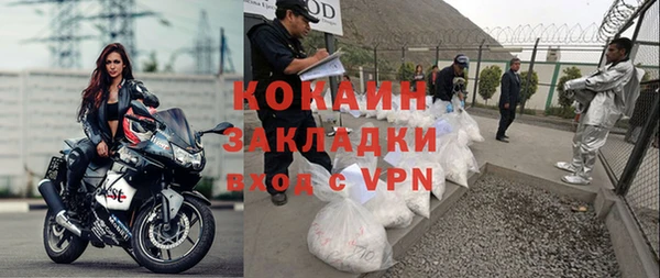 прущие грибы Верея