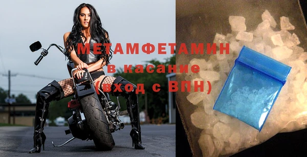 прущие грибы Верея
