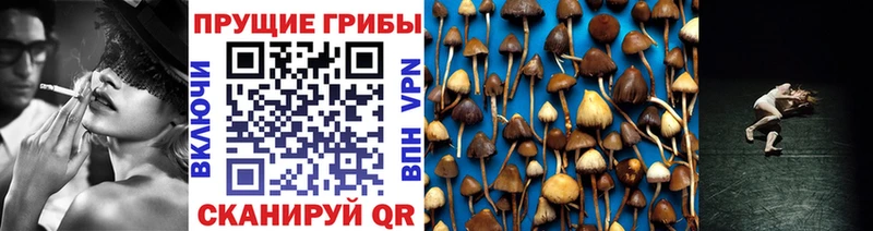 Галлюциногенные грибы Magic Shrooms  Купить где  Старица 